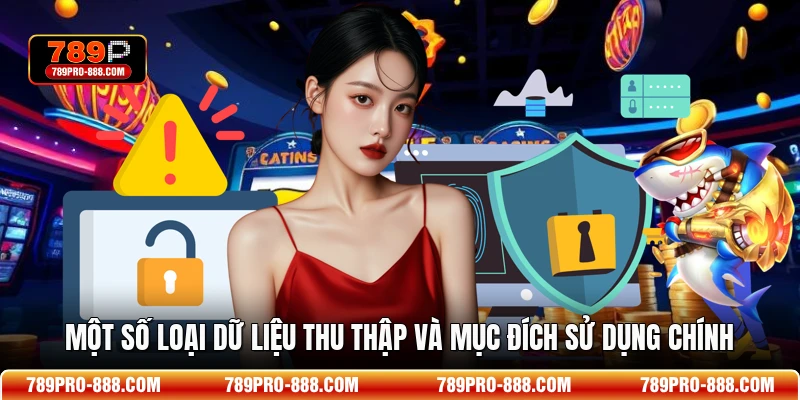 Một số loại dữ liệu thu thập và mục đích sử dụng chính